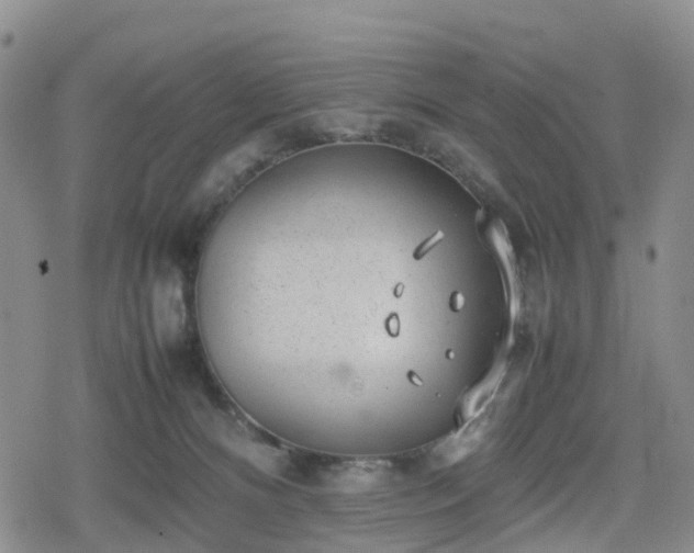 X0000078840128200611201323