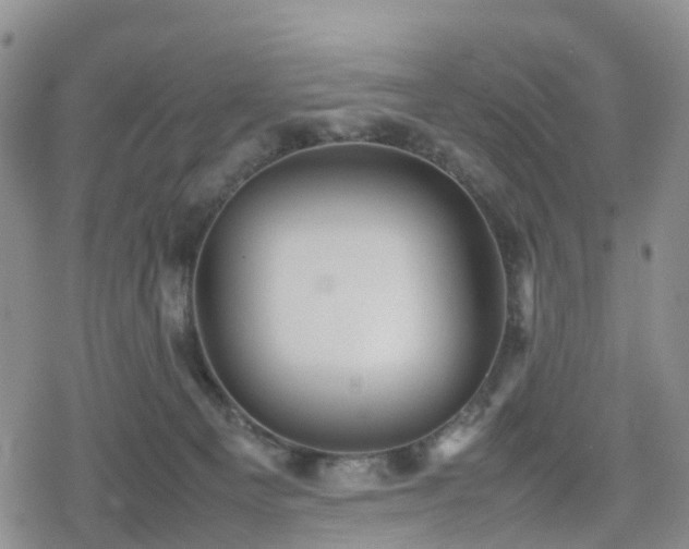 X0000078840129200611201323