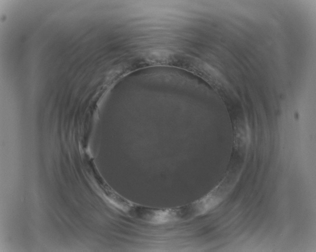 X0000078840130200611201323