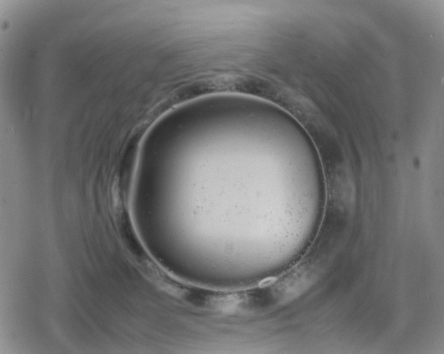 X0000078840131200611201323