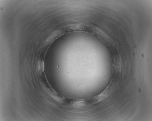 X0000078840132200611201323