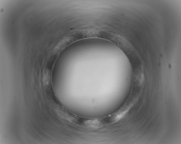 X0000078840133200611201323