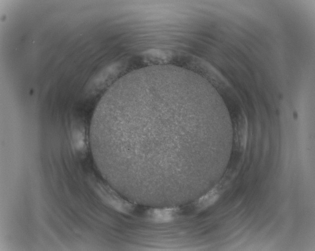 X0000078840134200611201323