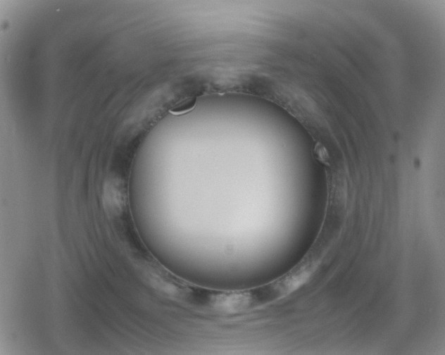 X0000078840135200611201323