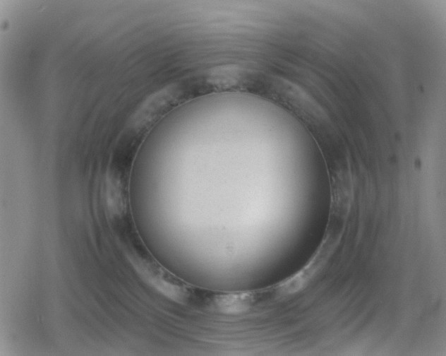 X0000078840136200611201323