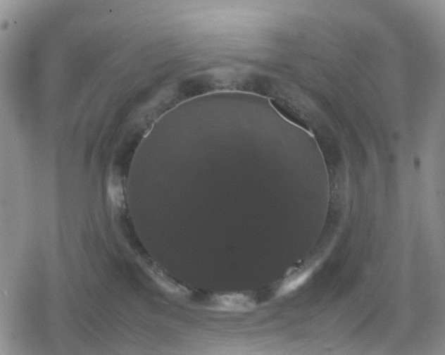 X0000078840137200611201323