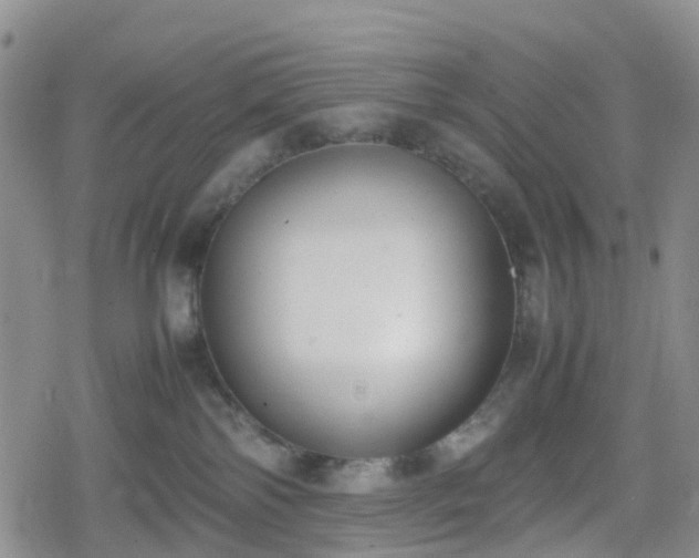 X0000078840138200611201323