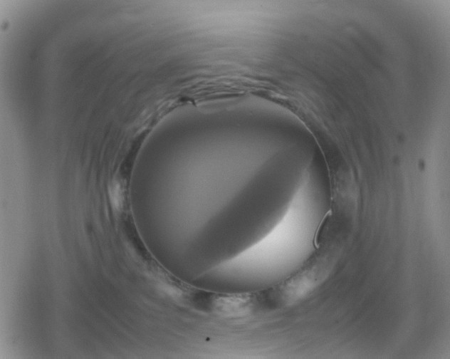 X0000078840139200611201323