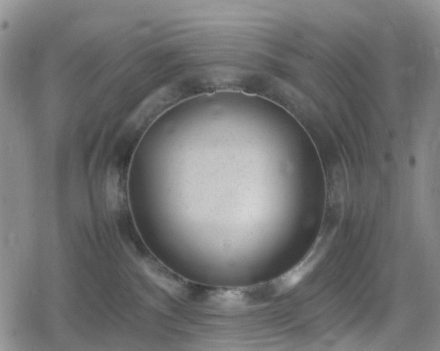 X0000078840140200611201323