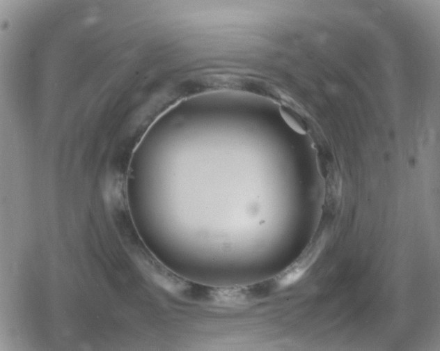 X0000078840141200611201323