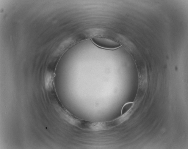 X0000078840142200611201323