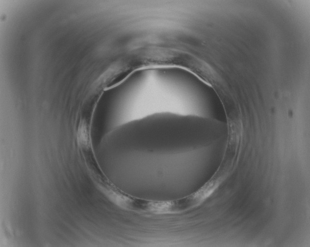 X0000078840143200611201323