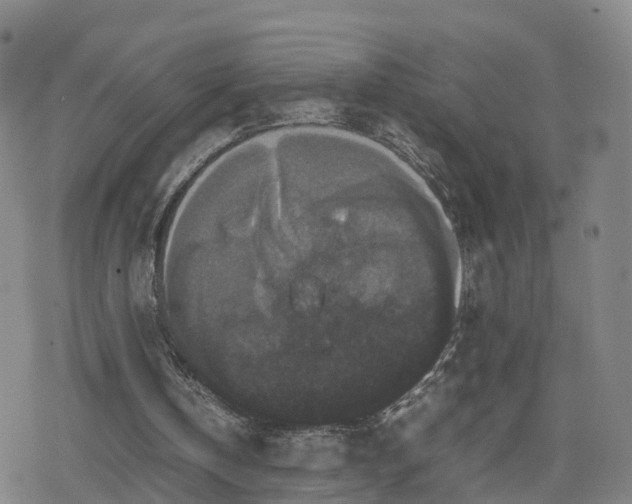 X0000078840146200611201322