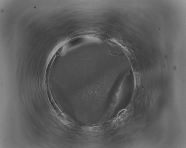 X0000078840147200611201322