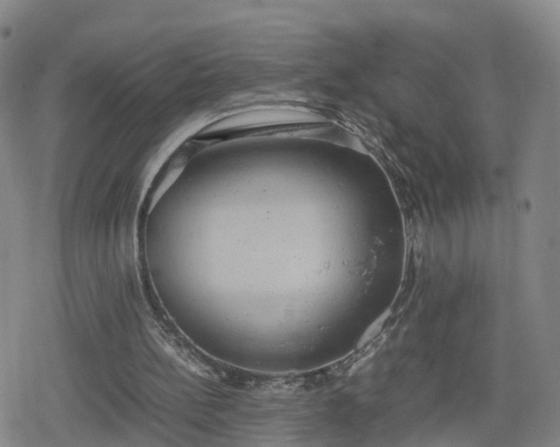 X0000078840148200611201322