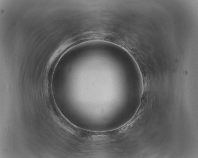 X0000078840150200611201322