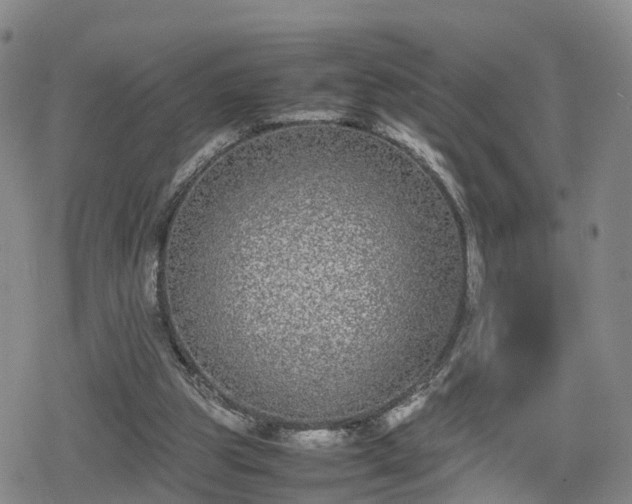 X0000078840153200611201322