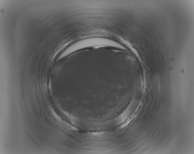 X0000078840154200611201322