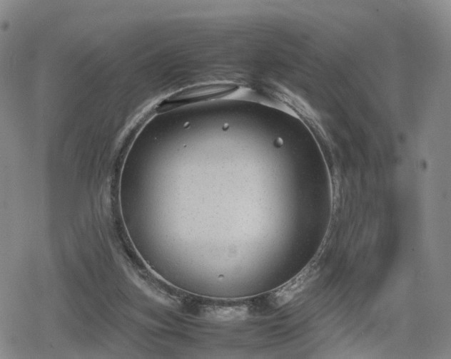 X0000078840155200611201322