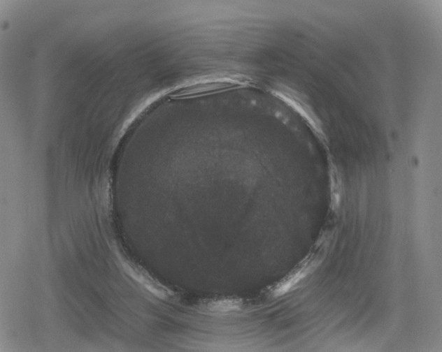 X0000078840156200611201322