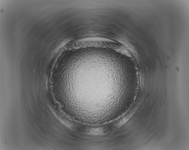 X0000078840157200611201322