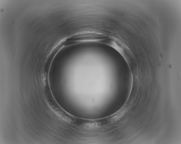 X0000078840160200611201322