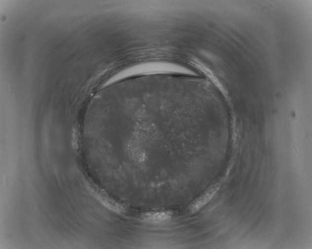 X0000078840161200611201322