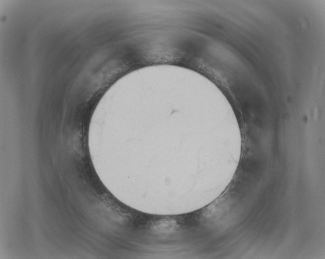 X0000078840162200611201322