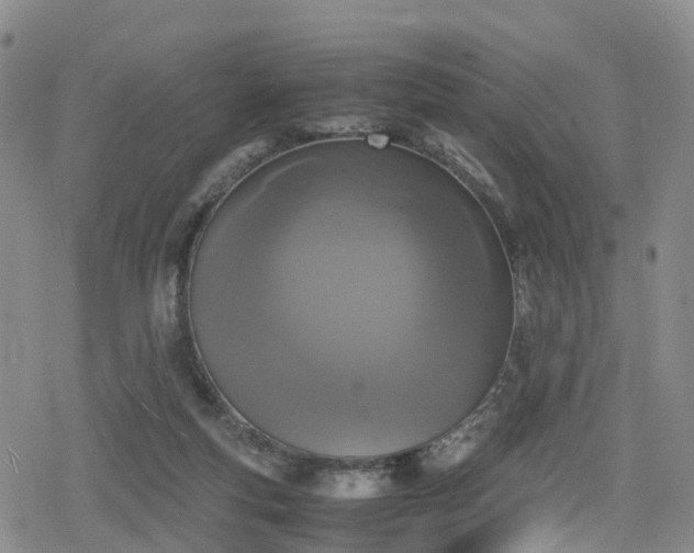 X0000078840163200611201322