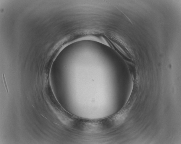 X0000078840164200611201322