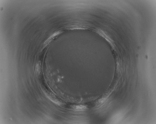 X0000078840165200611201322