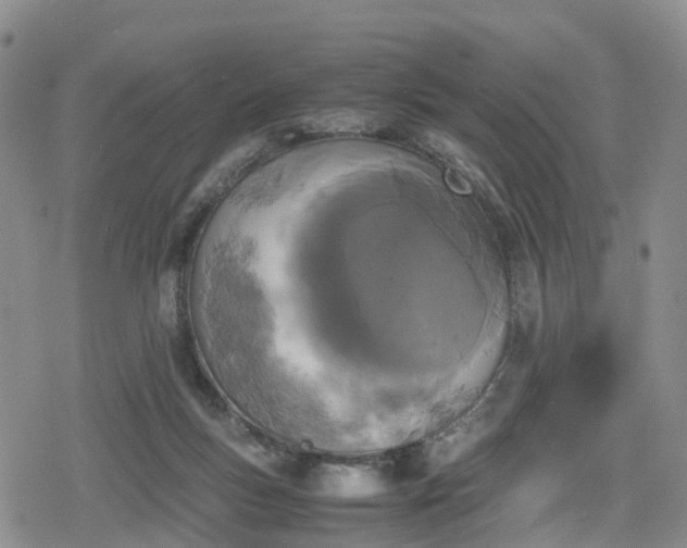 X0000078840167200611201322