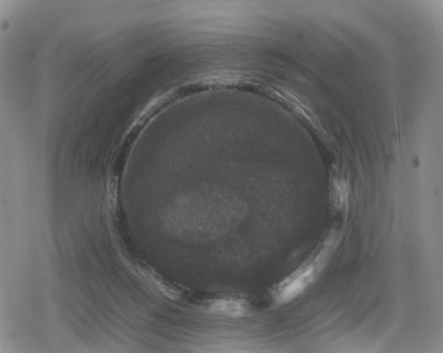 X0000078840168200611201322