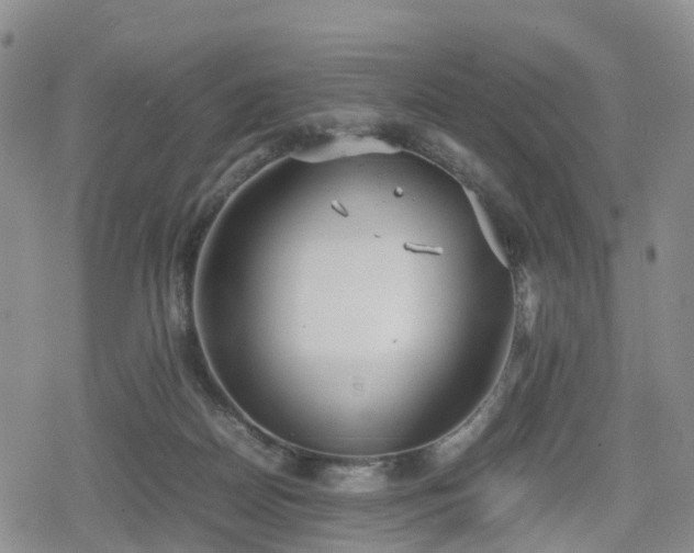 X0000078840170200611201322