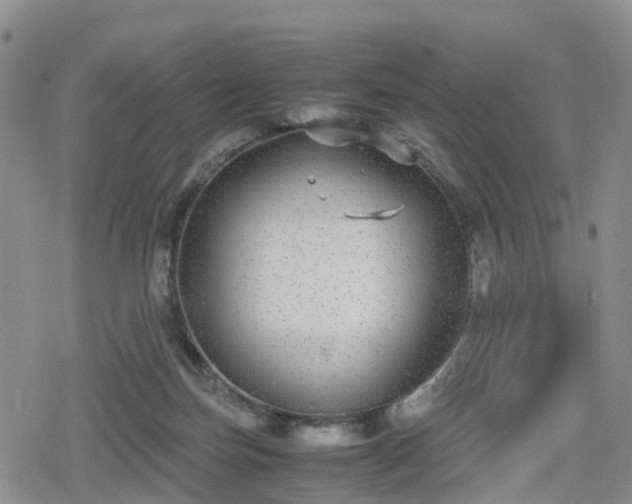 X0000078840171200611201322