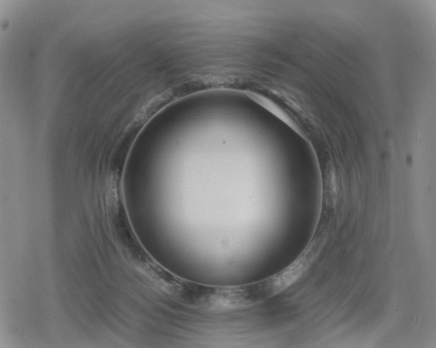 X0000078840172200611201322