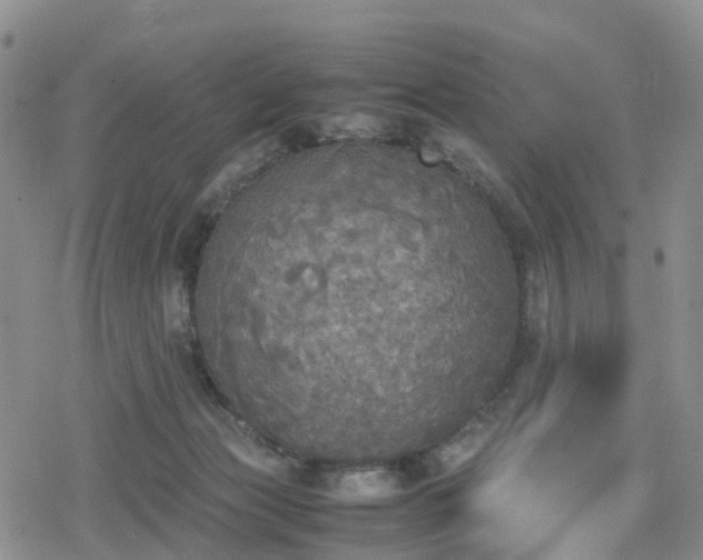 X0000078840173200611201322