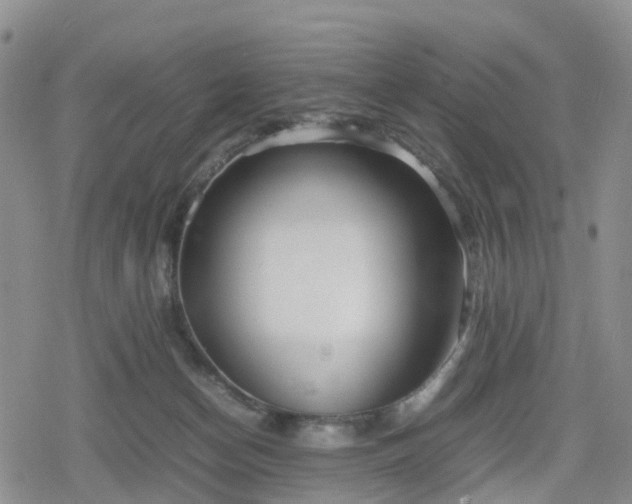 X0000078840174200611201322