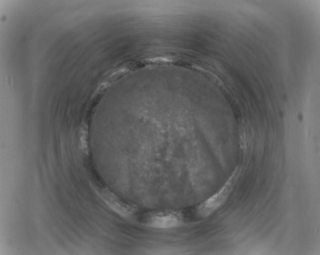 X0000078840175200611201322