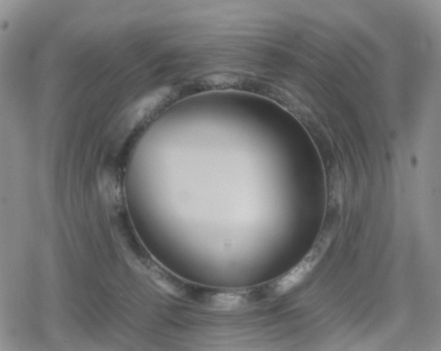 X0000078840176200611201322