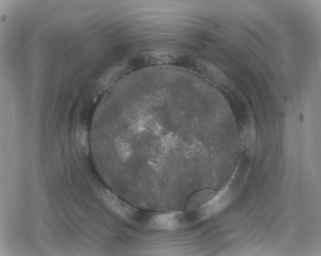 X0000078840178200611201322