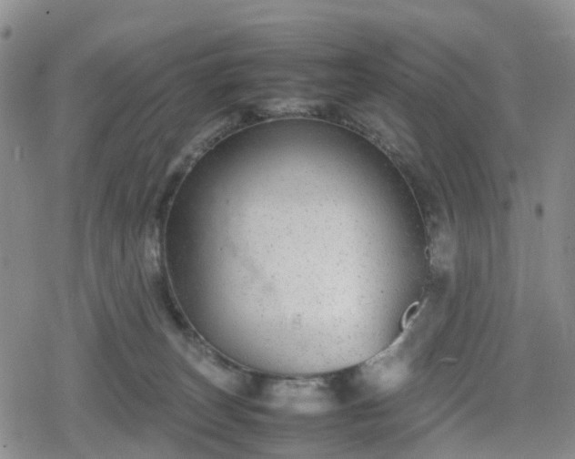 X0000078840179200611201322