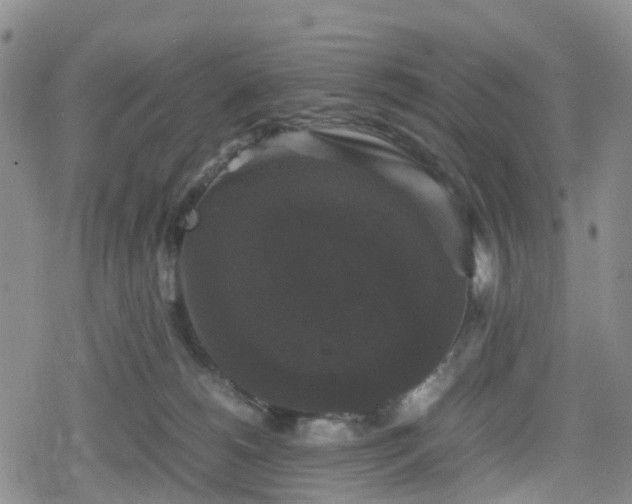 X0000078840180200611201322