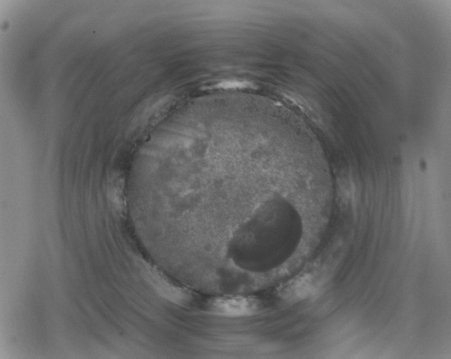 X0000078840181200611201322