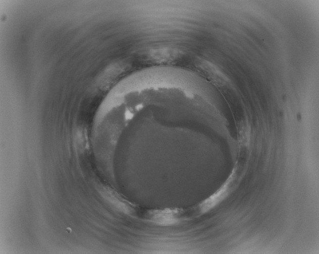 X0000078840182200611201322