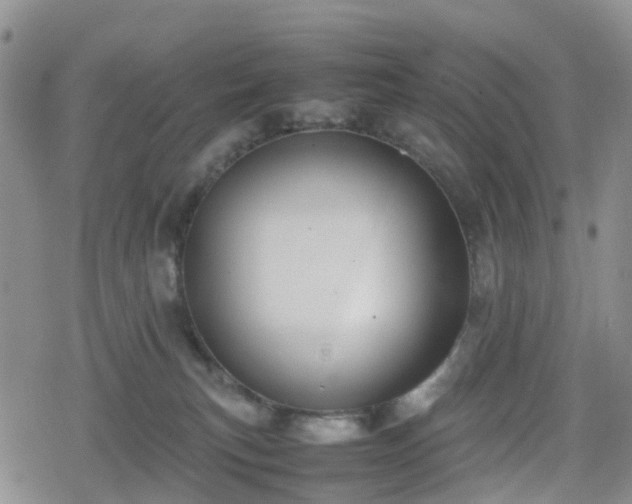 X0000078840183200611201322