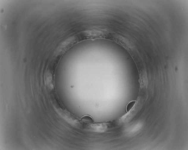 X0000078840187200611201322