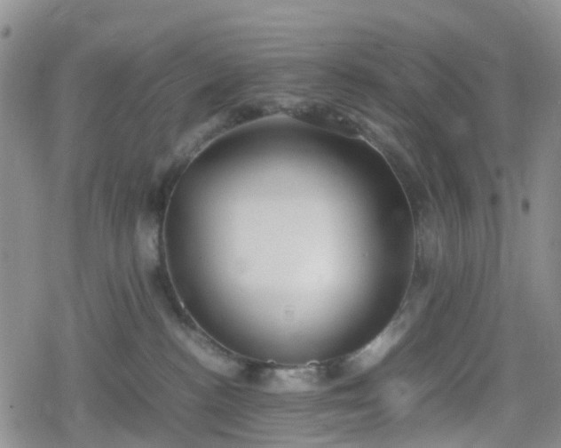 X0000078840188200611201322