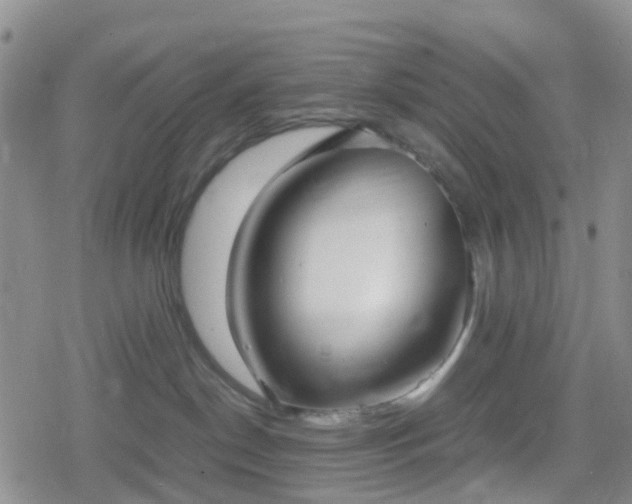 X0000078840190200611201323