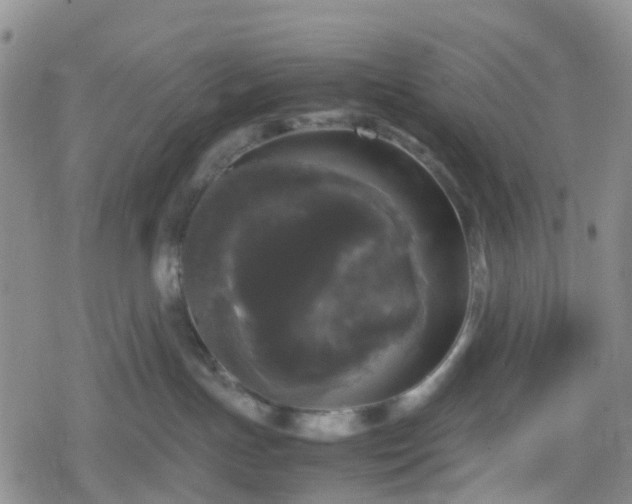 X0000078840191200611201323